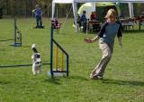 IMG_0642: Kutnohorské kynologické cvičiště hostilo závody psů v agility 