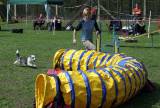 IMG_0646: Kutnohorské kynologické cvičiště hostilo závody psů v agility 