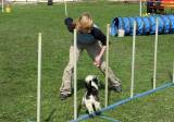 IMG_0655: Kutnohorské kynologické cvičiště hostilo závody psů v agility 