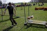 IMG_0671: Kutnohorské kynologické cvičiště hostilo závody psů v agility 