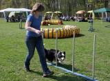 IMG_0701: Kutnohorské kynologické cvičiště hostilo závody psů v agility 