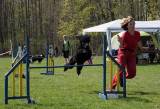 IMG_0704: Kutnohorské kynologické cvičiště hostilo závody psů v agility 