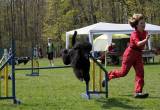 IMG_0705: Kutnohorské kynologické cvičiště hostilo závody psů v agility 