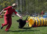 IMG_0707: Kutnohorské kynologické cvičiště hostilo závody psů v agility 