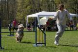 IMG_0710: Kutnohorské kynologické cvičiště hostilo závody psů v agility 