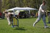 IMG_0712: Kutnohorské kynologické cvičiště hostilo závody psů v agility 