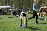 IMG_0721: Kutnohorské kynologické cvičiště hostilo závody psů v agility 