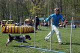 IMG_0731: Kutnohorské kynologické cvičiště hostilo závody psů v agility 