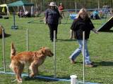 IMG_0737: Kutnohorské kynologické cvičiště hostilo závody psů v agility 