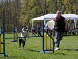 img_0744: Kutnohorské kynologické cvičiště hostilo závody psů v agility 