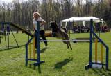 IMG_0759: Kutnohorské kynologické cvičiště hostilo závody psů v agility 