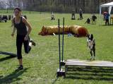 IMG_0805: Kutnohorské kynologické cvičiště hostilo závody psů v agility 