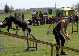 IMG_0811: Kutnohorské kynologické cvičiště hostilo závody psů v agility 