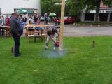SDC10180: Ve Schořově si v sobotu užili hry a soutěže při příležitosti tradičního kácení máje