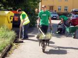 P7181371: Akce "Zelené město" odstartovala - první brigádníci v zelených trikotech vyrazili do ulic 